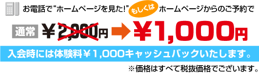 �̌����e
